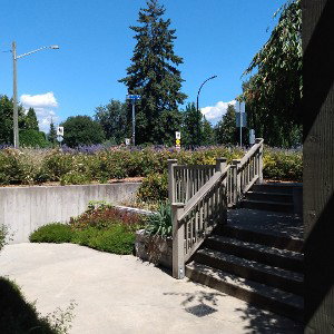 Sun in Vancouver?