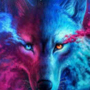 BIG BAD WOLF JOKER AND APP DISS