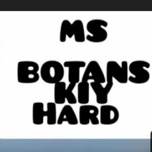 MS BOTANSKIY /Hard (Remix, версия 2)