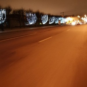 лисы