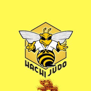 hachi