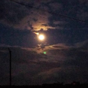  family to the moon