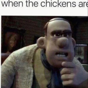 Da wae of da Chicken