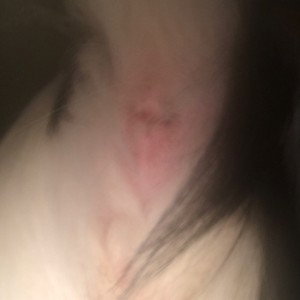 TwentyOneSubduedEastCoastTypeBeat85BPM