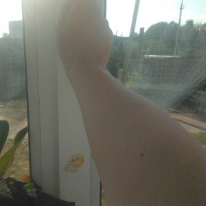 открой окно