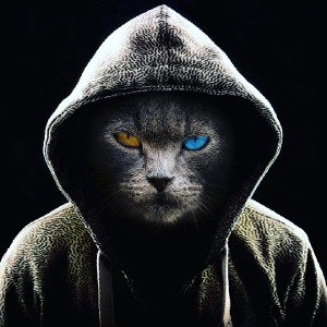 первая песня