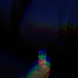 Endomystic - Original 