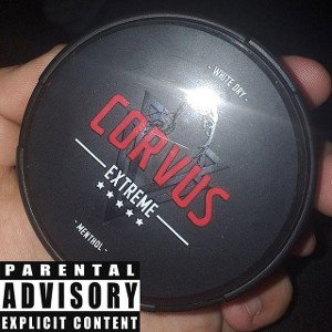 FJK-SNUSGANG feat.TRIP