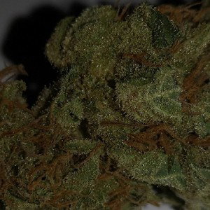 WEED