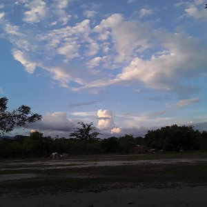 solitario