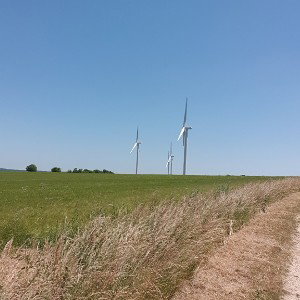 pendant la route 
