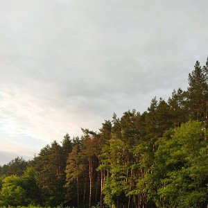 Там Ревели Горы 