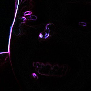 The_Real_