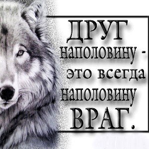 портрет 3