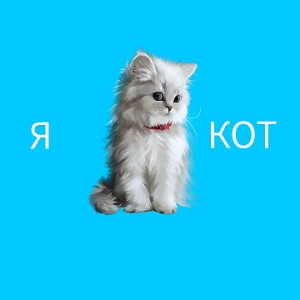 Я Кот   