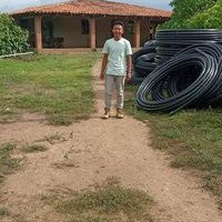 aparentemente