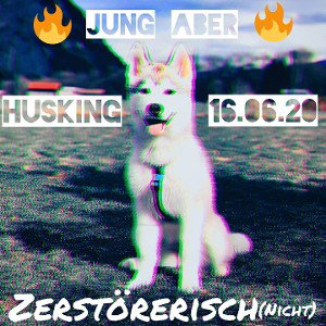Husking VS Chriss lee