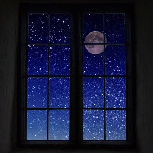 Window