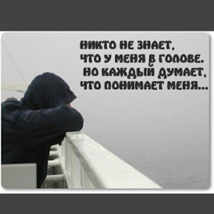 баракуда
