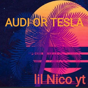 Audi_or_Tesla