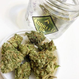 OG KUSH