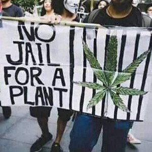 religious shit-the holy weed