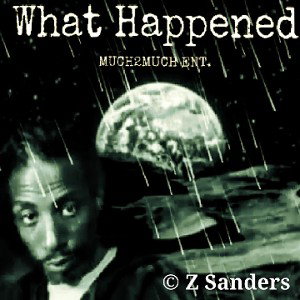 WHAT HAPPENED by Z