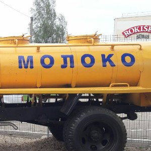 Агурцы и помидоры