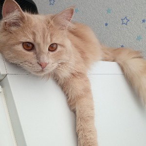 Настал тот час