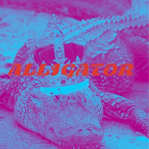 Alligator