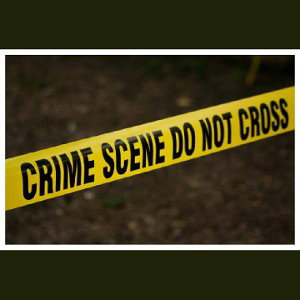 Murder Rate(freestyle)