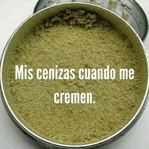 CUENTAS PENDIENTES😎🤫