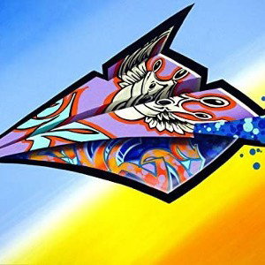Unknown - Flight 