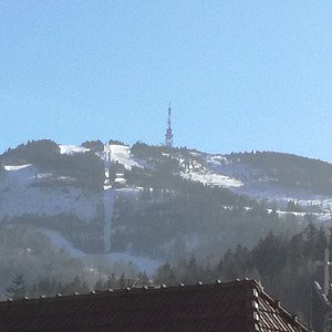 NIE OBCHODzą MNIE WIRUSY