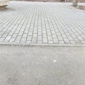 Мизантроп
