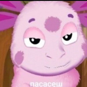 история