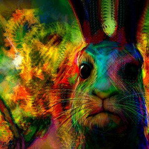 #lmrwhiterabbits