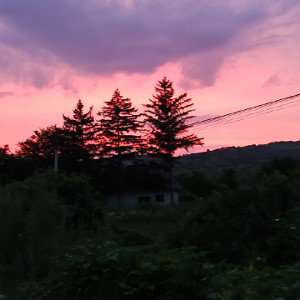ЖеньШень