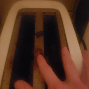 toaster sex 