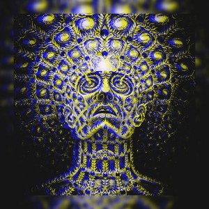 Mercer - DMT