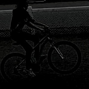 freestyle 1