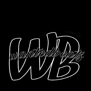 NOTARZT - WANTED36 