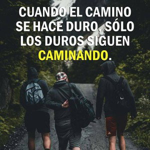 Hip es mi Ciencia