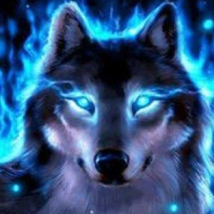 fox dj