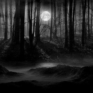 Dark Jungle