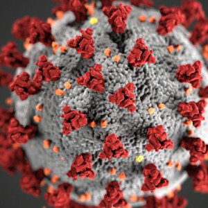 Corona virus