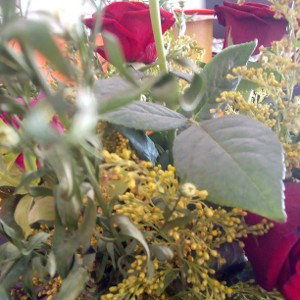 10 de mayo y siguen marchitas las rosas