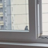 Colder. неизданное 