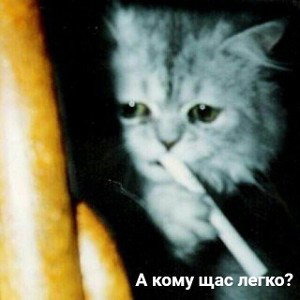 ТЕ КОТОРЫЕ СИДЯТ НА ВЕРХУ 