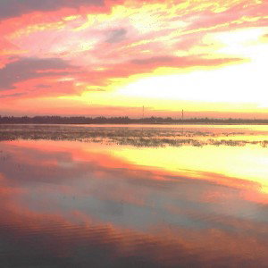 MORE PEACE 